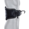 ION - WAIST KITE SPECTRE 2026