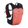 ION EXPLORER BAG 2