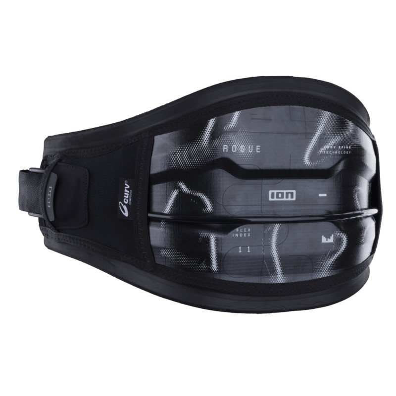 ION ROGUE 2